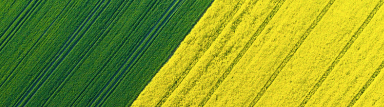 MACF : la phase payante démarre, quelles conséquences pour la campagne 2026 ?